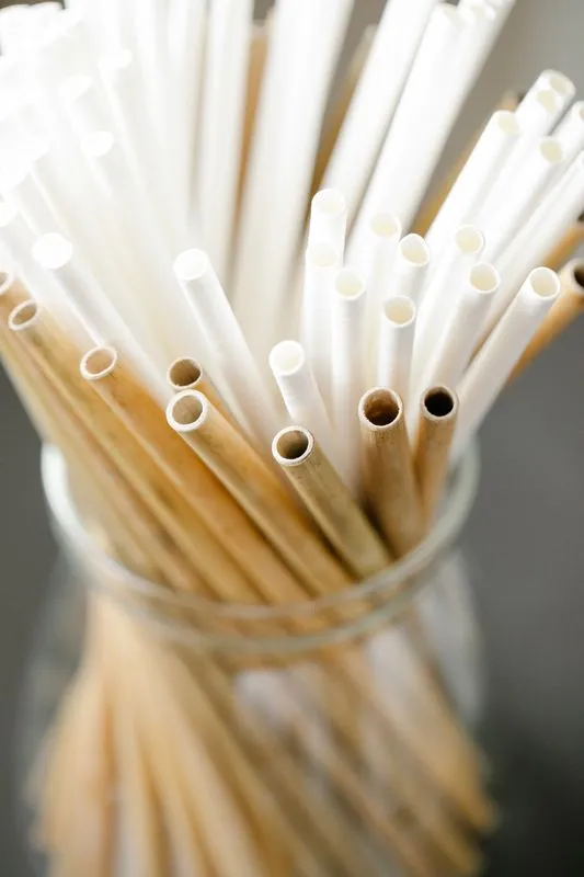 Bamboo Straws — export product from Go Green Organix