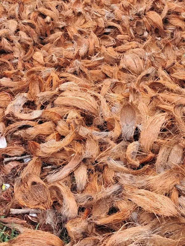 Coco Peat — biodegradable, bulk export product | Go Green Organix