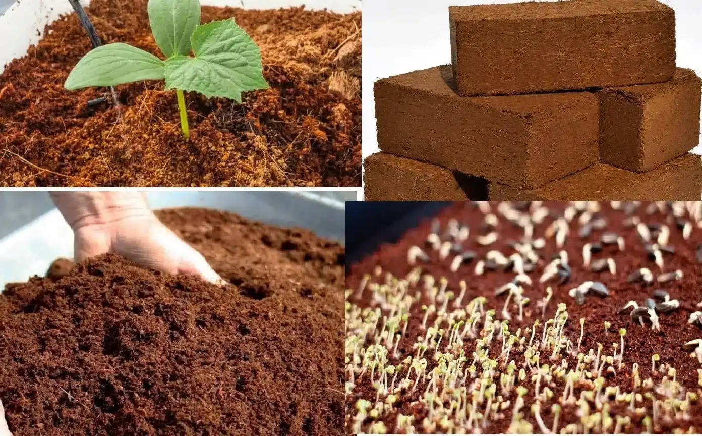 Coco Peat — additional product photo