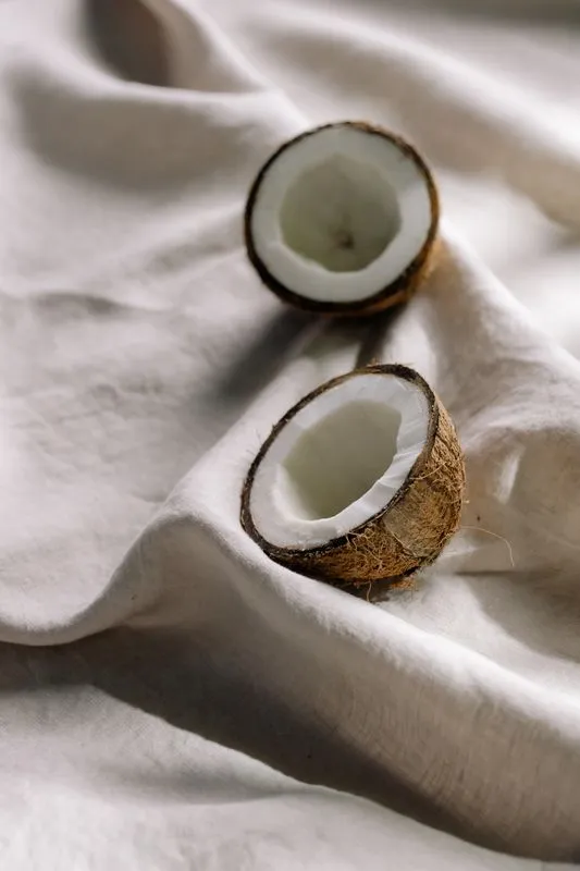 Coconut Products (Raw & Desiccated) — biodegradable, bulk export product | Go Green Organix